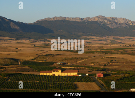 L'Alava, Laguardia, Alava, Espagne, les champs et vignobles qui entourent l'aéroport Laguardia sont dominées par les montagnes Sierra Cantabria Banque D'Images