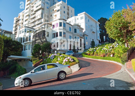 Lombard Street à San Francisco, la rue la plus sinueuse au monde Banque D'Images