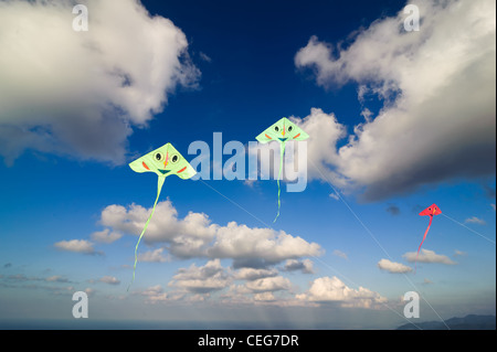 Cerfs-volants colorés volant dans le ciel bleu Banque D'Images