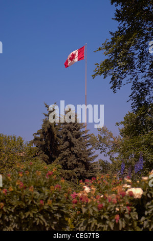 Drapeau sur mât, survolant un parc Banque D'Images