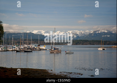 Comox Harbour Yacht amarrage et d'hydravion à quai, l'île de Vancouver en Colombie-Britannique, Canada. 7976 SCO Banque D'Images