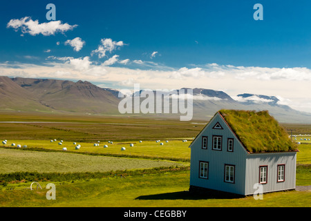 Ancienne ferme avec toit en mousse et paysage islandais typique. Banque D'Images