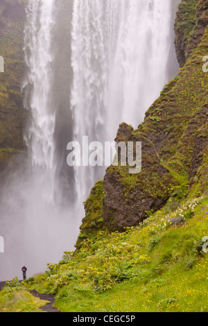 Skogafoss chute d'eau dans le sud de l'islande près de Vik. Banque D'Images