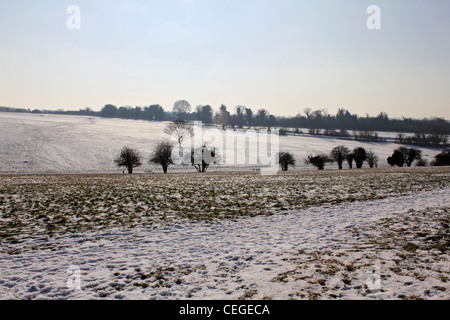 Neige sur Epsom Downs Surrey England UK Banque D'Images