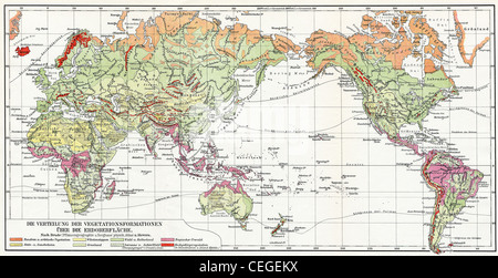 Carte de la distribution de la végétation sur la terre. Banque D'Images