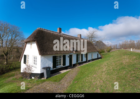 Maison typique hollandaise derrière la digue le long de la rivière Waal Banque D'Images