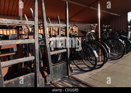 Vieux vélos classiques dans un ancien garage à vélo. Banque D'Images