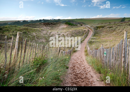 Sentier dans les dunes de sable à la plage de Bantham, Bantham, Devon. Banque D'Images