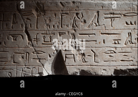 Sculptures sur pierre et égyptienne hiéroglyphes peints Banque D'Images