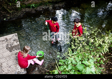 Les élèves de l'école Brambletye année 5, avec des filets d'eau trempant dans l'Earlswood brook qui tourne autour de l'école. Banque D'Images