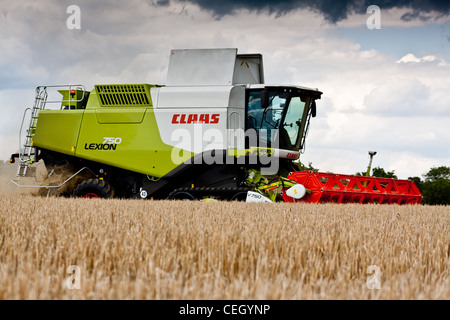 L'orge récoltée par une moissonneuse-batteuse claas dans un champ dans le Kent Banque D'Images