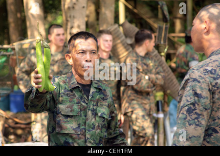 Le 2e Lt. Pranom Yomed du Royal Thai Marine corps instruit les Marines américaines affectées à la 31e unité expéditionnaire marine (MEU) et les Marines royales thaïlandaises sur les plantes comestibles trouvées dans la jungle lors d'un cours d'entraînement à la survie de la jungle au camp de reconstruction, Royaume de Thaïlande, 3 février 2012. La classe faisait partie de l'exercice d'entraînement multilatéral Cobra Gold 2012. Cobra Gold 2012 démontre la détermination des États-Unis et des pays participants à accroître l'interopérabilité et à promouvoir la sécurité et la paix dans toute la région Asie-Pacifique. Le 31e MEU est la force expéditionnaire américaine en préparation dans la région. Banque D'Images