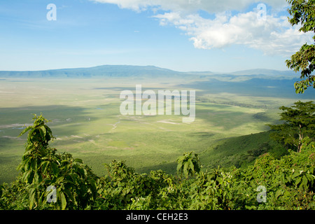 Le cratère du Ngorongoro, en Tanzanie Banque D'Images