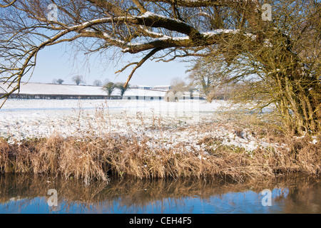 Rivière Avon en hiver - Wiltshire Banque D'Images