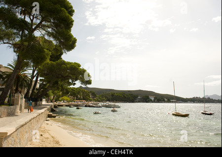 Pine Walk, Puerto Pollensa, Mallorca Banque D'Images