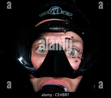 Look de panique sur le visage de scuba diver Banque D'Images