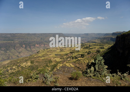 Donnant sur la vallée du Rift en Afrique et les fermes près de Debre Libanos en Ethiopie Banque D'Images