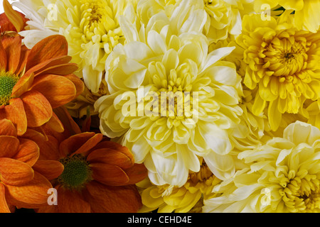 Un gros plan d'un bouquet de fleurs colorées Banque D'Images