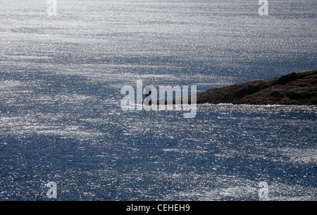 Phare, au sud de l'île de Pag en Croatie Banque D'Images