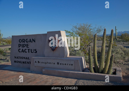 Ajo, Arizona - Organ Pipe Cactus National Monument. Banque D'Images