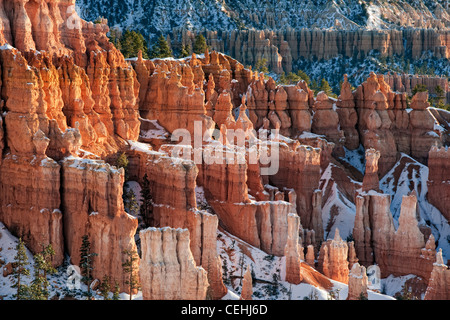 Première réflexion allume les nombreuses cheminées avec neige d'automne de Sunset Point dans l'Utah, le Parc National de Bryce Canyon. Banque D'Images