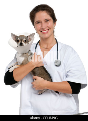 Vet tenant un chihuahua portant un collier de l'espace in front of white background Banque D'Images