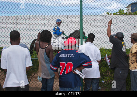 Punters derrière un grillage de regarder un jockey ride sur la piste de course, Caymanas Park Racing Track, Kingston, Jamaïque. Banque D'Images