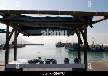 Poisson à vendre,Kalk Bay, Cape Town, Western Cape Province Banque D'Images