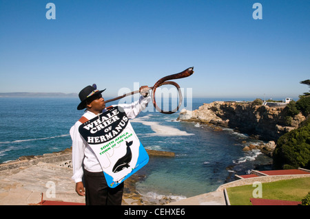 Crieur Hermanus baleine,,province de Western Cape Banque D'Images