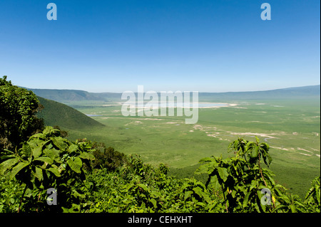 Ngorongoro Crater vue panoramique depuis le point de vue de la Tanzanie Banque D'Images