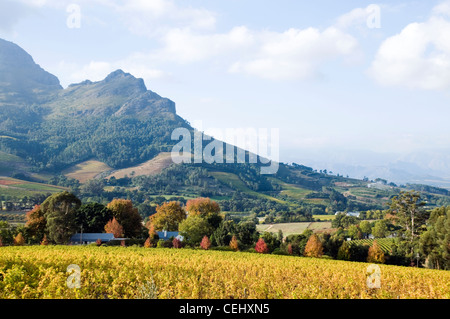 Nuages Wine Estate Stellenbosch,Cap,Route des vins,province de Western Cape Banque D'Images