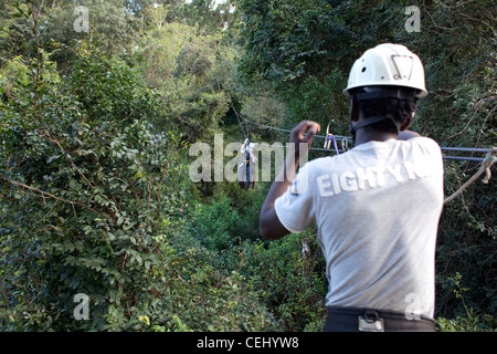 Karkloof Canopy Tours, KwaZulu-Natal,Midlands. L'Afrique du Sud Banque D'Images