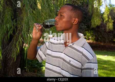 Dégustation de vin Landzicht,Wine Estate,province État libre Banque D'Images