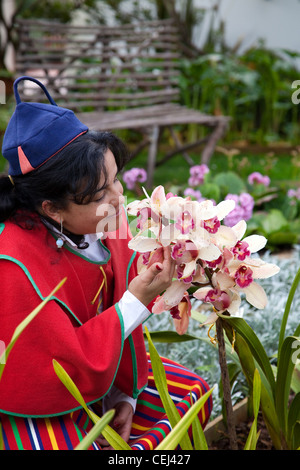 Femme en costume traditionnel portugais de type Shroud bleu, sentant une orchidée parfumée en février sur l'île de Madère, Europe Banque D'Images