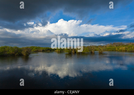 Gros nuages sur l'anhinga Trail, dans le Royal Palms Domaine du Parc National des Everglades en Floride Banque D'Images