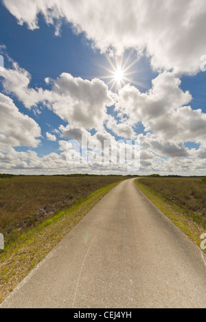 Bien que la section de la vallée de la route requin le Parc National des Everglades en Floride Banque D'Images