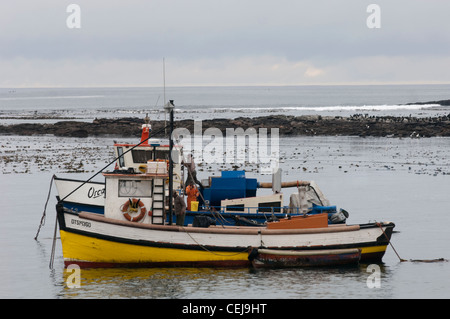 Bateaux de pêche au port de Port Nolloth,Northern Cape Banque D'Images