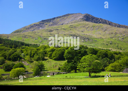 Pays de Galles, Gwynedd, Parc National de Snowdonia, champ et sur la montagne de Beddgelert au Banque D'Images