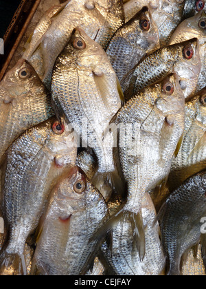 Fish at a market stall dans Chinatown, New York Banque D'Images