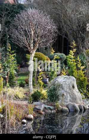 Un jardin conçu pour la couleur de l'hiver près de Montgomery, Powys UK Banque D'Images