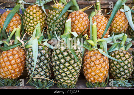 Thaïlande - Asie tropical fruits ananas dans la cabine de rue Banque D'Images