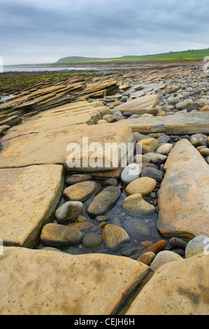 Warebeth beach, près de Stromness, Orkney, Scotland. Banque D'Images