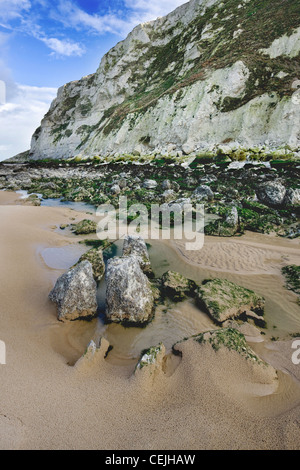 Les falaises de craie blanche et de roches couvertes d'algues à marée basse au Cap Blanc Nez, Pas-de-Calais, France Banque D'Images