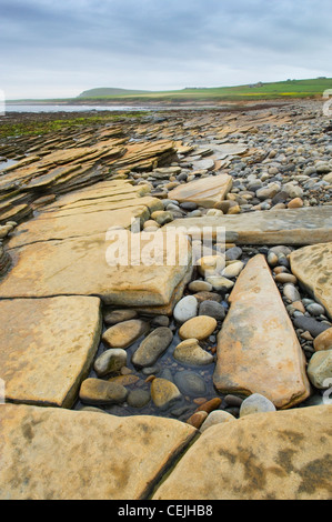 Warebeth beach, près de Stromness, Orkney, Scotland. Banque D'Images