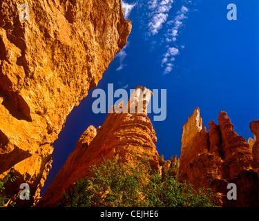 Bryce Canyon National Park est situé dans le sud-ouest de l'Utah à environ 50 milles (80 km) au nord-est de 1 000 pieds et plus que Sion. Banque D'Images