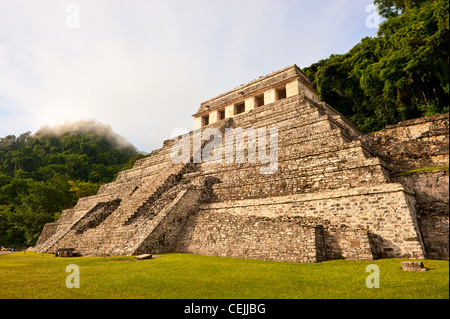 Pyramide Maya de Palenque, Chiapas, Mexique. Banque D'Images