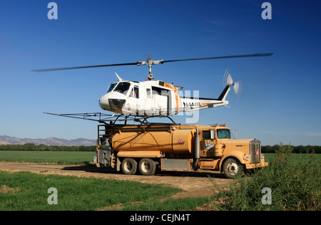 Récolte d'hélicoptère duster débarque sur l'arrière d'un camion de produits chimiques pour remplir les réservoirs pendant les opérations de pulvérisation, d'un verger de noyers. Banque D'Images