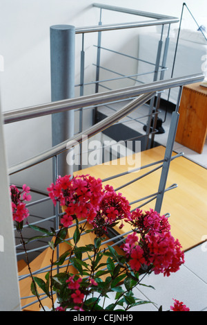 Vacances à Tübingen, Bade-Wurtemberg, Allemagne de l'Interiimage straircase en spirale avec des fleurs roses en premier plan Banque D'Images