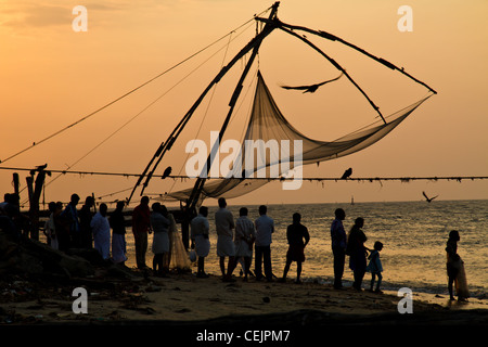 Les filets à Cochin, Kerala, Inde Banque D'Images