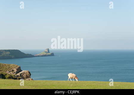 Rhossili Bay head, les vers, la péninsule de Gower, Nouvelle-Galles du Sud Banque D'Images